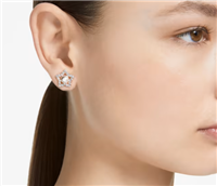 Orecchini Swarovski in Lega metallica 5645465 - 5645465